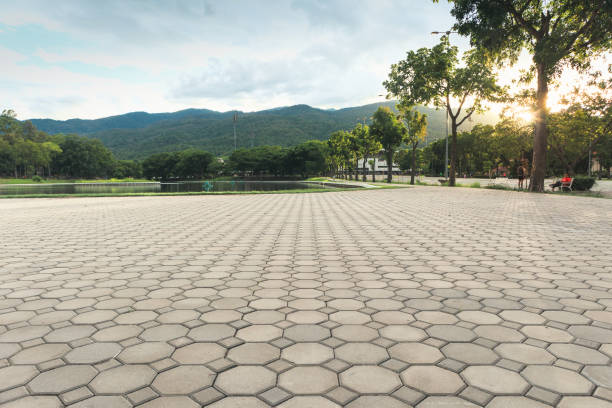 Best Permeable Paver Driveway  in Montrose, PA